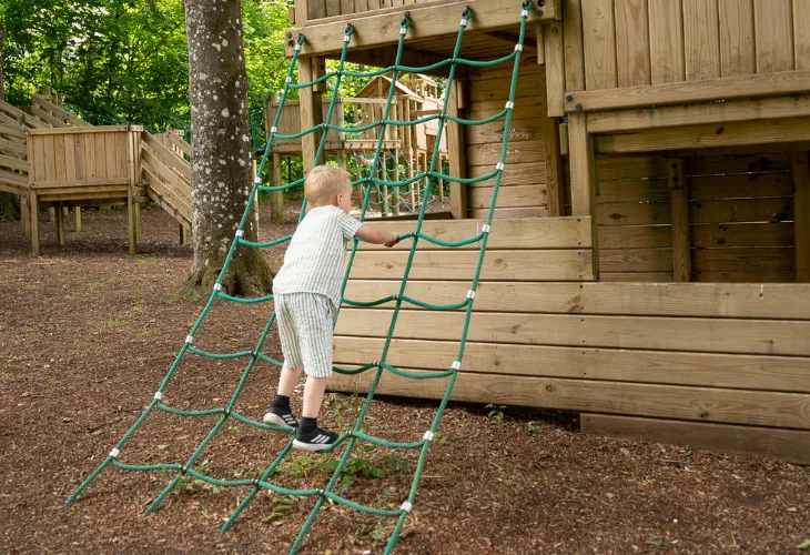 Case study: Marchant image